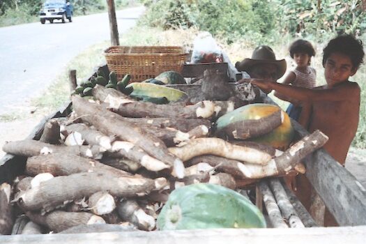 街道沿いの露天市でキャッサバを売っている（ベネズエラ）