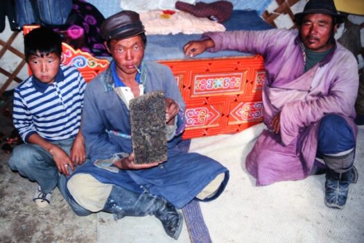 ゲル内でタン茶を持つ遊牧民（モンゴル）