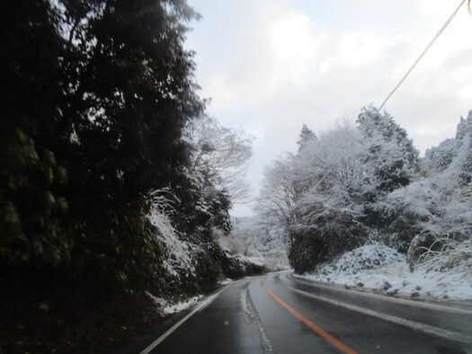 国道415号は雪景色