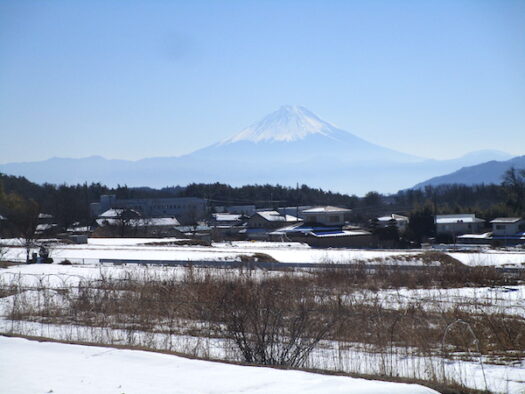 富士山を見る