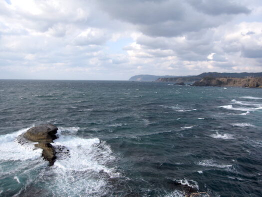 ヤセの断崖から見る猿山岬（2010年）