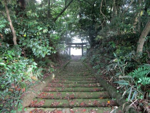 神代神社の参道
