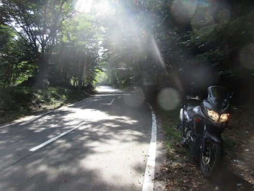 9：20　御坂峠の旧道を下っていく