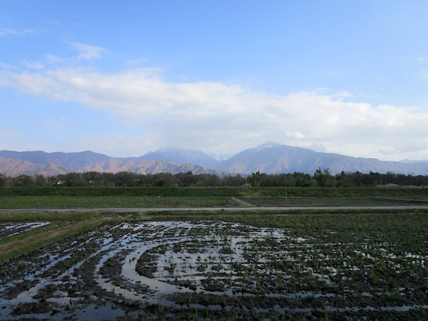 IMG_9558 収穫の終わった稲田越しに見る越後三山