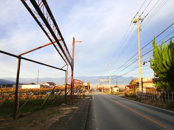 IMG_9654 美和神社周辺のブドウ園
