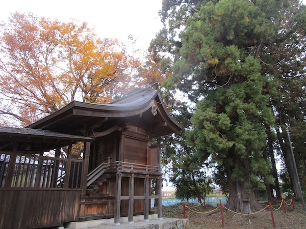 IMG_9667 杵衝神社の本殿