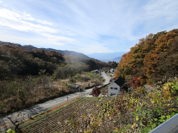 国道411号で柳沢峠へ