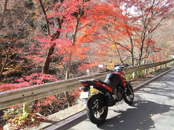 多摩川源流の紅葉
