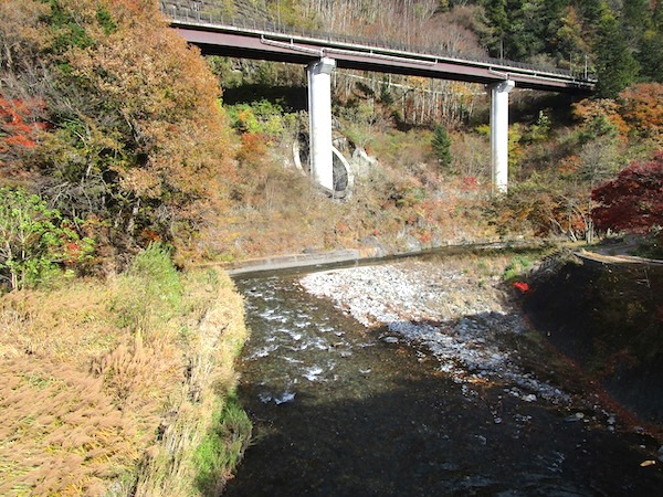 多摩川の流れを見下ろす