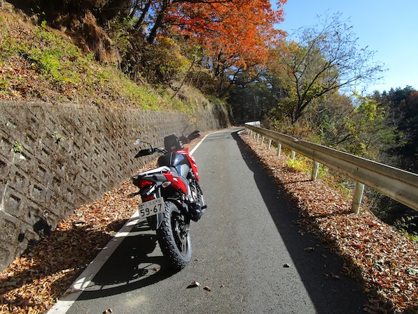 IMG_9850 高尾への道。南アルプスの山中へ