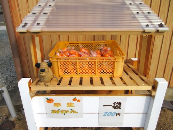 IMG_0048 ここは三ケ日ミカンの無人販売所