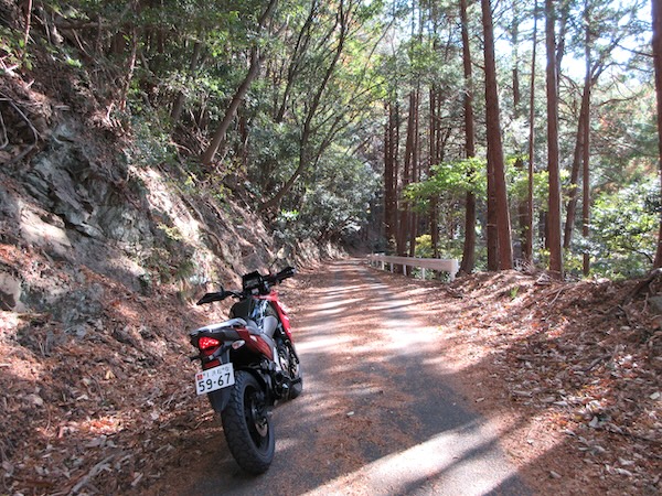 風越峠は狭路の峠道