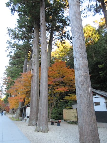 法多山の杉並木
