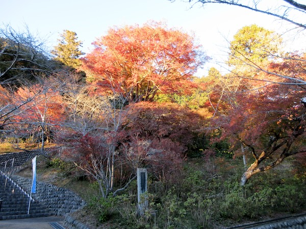 法多山の紅葉