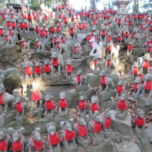 狐塚に奉納された無数の狐