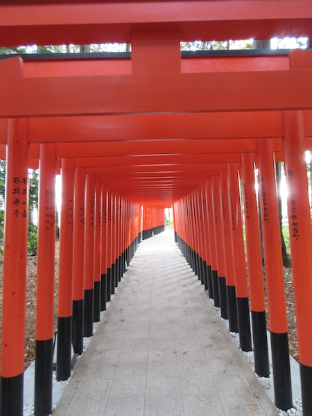 赤い鳥居をくぐり抜ける