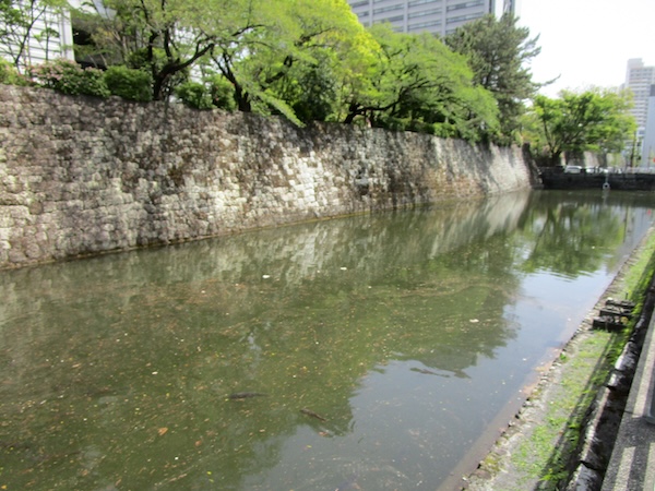 駿府城の堀