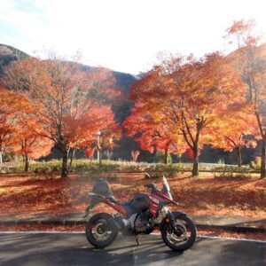 「黄金の湯」の色鮮やかな紅葉